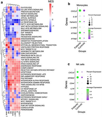 scRNA-seq reveals elevated interferon responses and TNF-α signaling via NFkB in monocytes in children with uncomplicated malaria